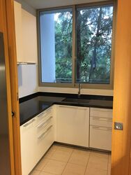 Beaufort On Nassim (D10), Condominium #600207161